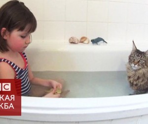 Как кошка помогла 5-летней девочке с аутизмом.