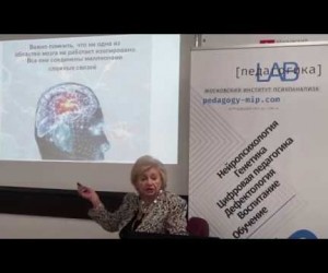 Проблемы когнитивного развития детей, лекция нейропсихолога Визель Т.Г.